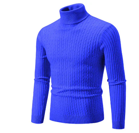 Elmar - Rollkragenpullover für Herren