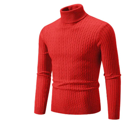 Elmar - Rollkragenpullover für Herren