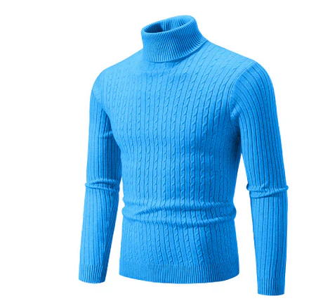 Elmar - Rollkragenpullover für Herren