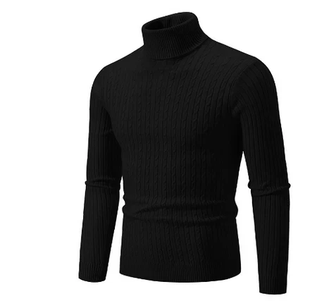 Elmar - Rollkragenpullover für Herren