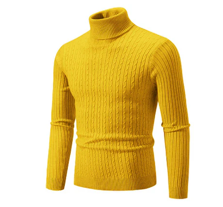 Elmar - Rollkragenpullover für Herren